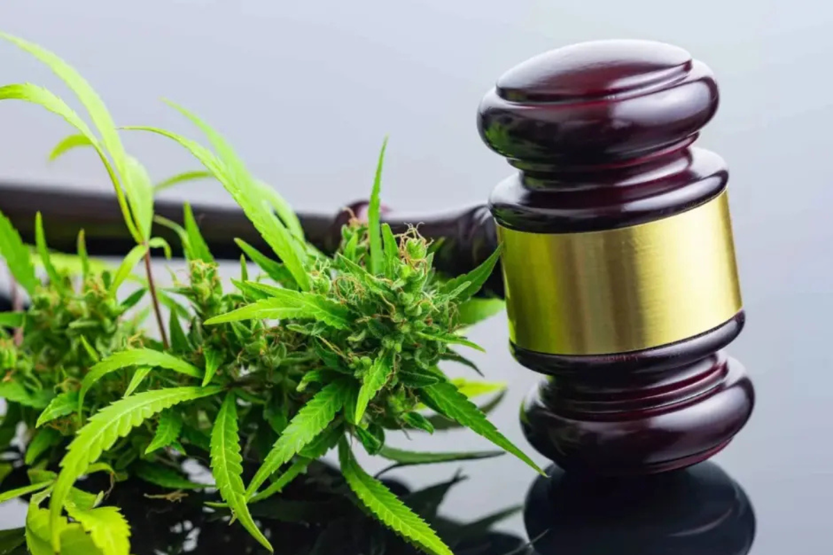 Legal Marijuana States: A Guide to Where Cannabis Is Legal